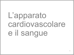 cardiovascolare