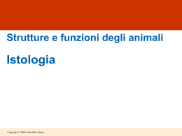 strutture e funzioni negli animali: lezioni di istologia