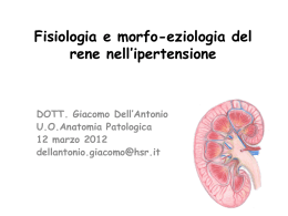 NEFROANGIOSCLEROSI ARTERIOLARE