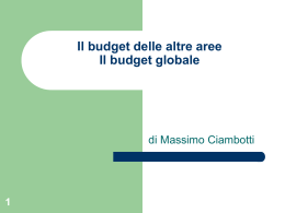 Il budget delle altre aree Il budget globale