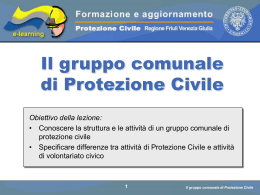 1 3c organizzazione e attivit&Atilde; dei gruppo comunale 1