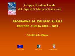 Sintesi del P.S.R. 2007-2013