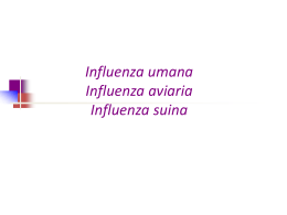Virus dell`influenza - Universit&agrave; degli Studi di Ferrara