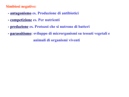 Simbiosi negative