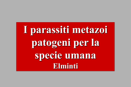 NEMATODI - Appuntimedicina.it