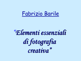 Fabrizio_Barile