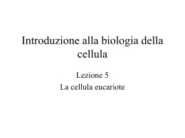 Lez. 5 cellula eucariote