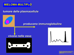Nessun titolo diapositiva