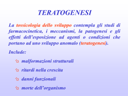 Nessun titolo diapositiva