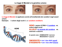 3B-Genetica2