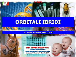 ibridazione