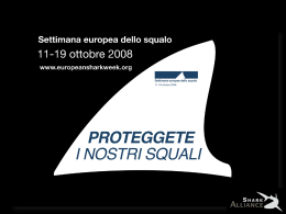 presentazione Powerpoint sugli squali