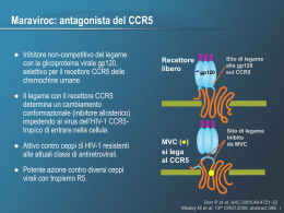 studi Motivate 1 e 2