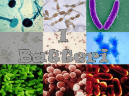 i batteri - Istituto Comprensivo Manziana