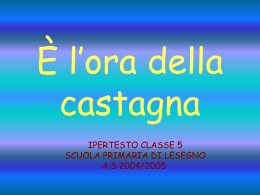 Il castagno - Direzione Didattica di Ceva