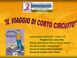 IL VIAGGIO DI CORTO CIRCUITO 3