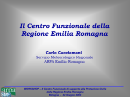 WORKSHOP &ndash; Il Centro Funzionale di supporto alla
