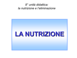 nutrizione inferiore al fabbisogno