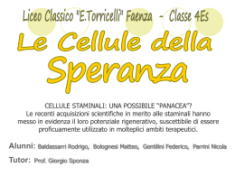 Terzo classificato: &ldquo;Le cellule della speranza&rdquo;