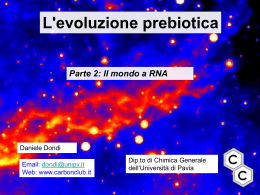 Parte 2: Il Mondo a RNA