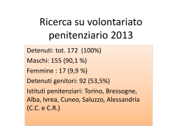 Ricerca su volontariato penitenziario 2013- detenut