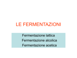 LE FERMENTAZIONI - materiale di studio