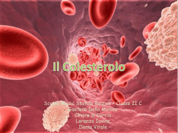 Il colesterolo - Scuola Secondaria di I grado "A. Balzico"