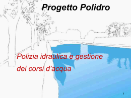 Progetto Polidro Polizia idraulica e gestione dei