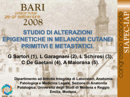 029 - G.Sartori, L.Garagnani, et al.