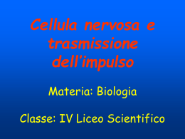 I neuroni Materia: Biologia Classe: IV Liceo