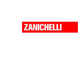 scarica il ppt - ZANICHELLI.it
