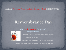 The red poppies- Project work