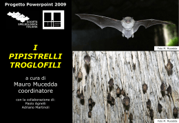 29 Pipistrelli troglofili - Centro per lo studio e la protezione dei