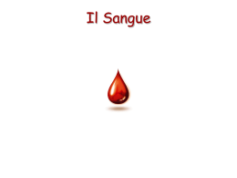 Il Sangue - Amedeo Rollo