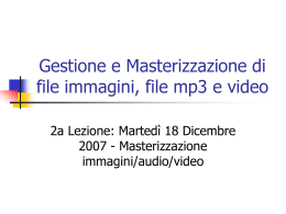 il DVD-Video