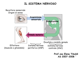 Diapositiva 1 - Istituto Sant`Anna