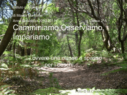 Istituto comprensivo di Massa Marittima Anno scolastico 2010