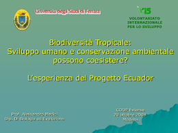 Universit&agrave; degli Studi di Ferrara Facolt&agrave; di Economia