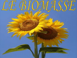 Cosa sono le biomasse - Dipartimento di Farmacia