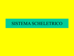 SISTEMA SCHELETRICO