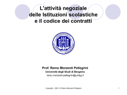 IL NUOVO PROCEDIMENTO AMMINISTRATIVO