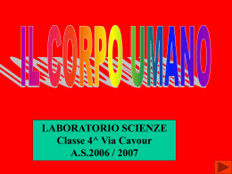IL CORPO UMANO