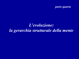 Il cervello neocorticale