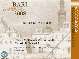 055 - G.Napoli, C.Martella, et al.