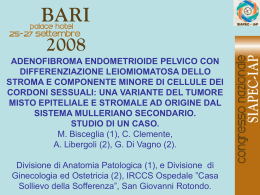 116 - M.Bisceglia, C.Clemente, et al.