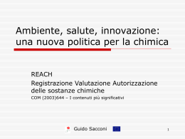 I contenuti più significativi della REACH illustrati con alcune slides