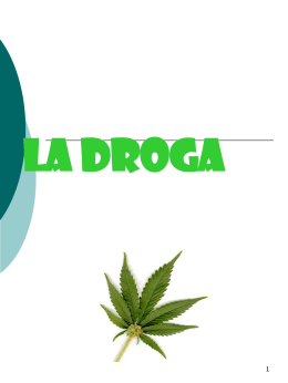 La droga - ic 3&deg;castaldi rodari