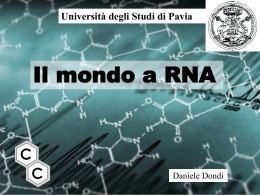 Il mondo a RNA - Virgilio Siti Xoom