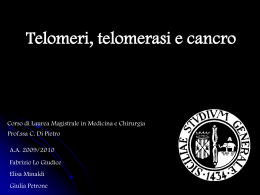 Telomeri, Telomerasi e Cancro (Lo Giudice, Minaldi