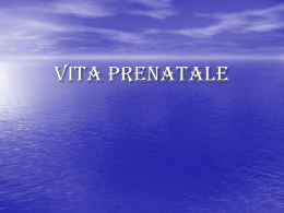 vita prenatale in immagini